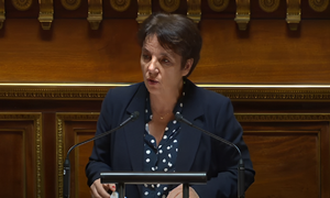 Les dossiers inachevés dont hérite la ministre déléguée à la Famille et à la Petite enfance