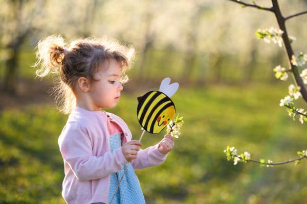 Les associations membres du Conseil national de la protection de l’enfance