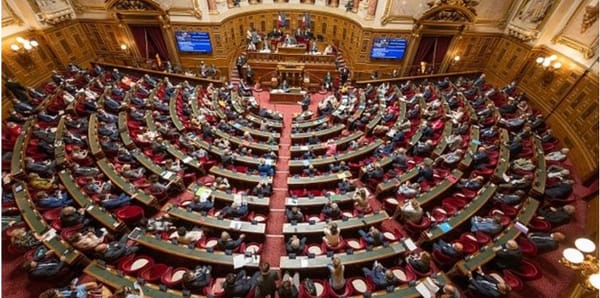 Violences intrafamiliales : la durée de la suspension de l'autorité parentale divise députés et sénateurs