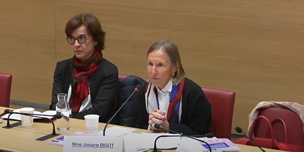 Le CESE présente son avis à la commission d'enquête « protection de l'enfance »