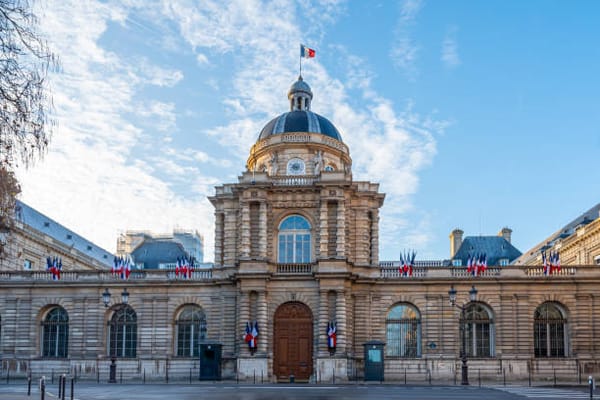 Le Sénat envisage de lancer une mission d'information sur l'ASE